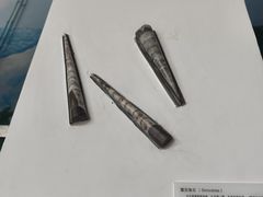 -中国第四纪冰川遗迹陈列馆