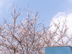 -龙美术馆(西岸馆)