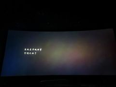 -汉阳天河电影城(王家湾店)