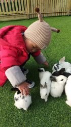 -萌宠亲子动物乐园(槐房万达店)