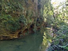 -怀托摩萤火虫洞