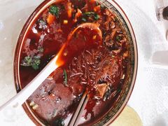 牛腩粉丝-金锅小厨(乐活街店)
