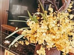 -千日贺茶餐厅(高新万达店)