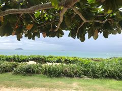 -三亚亚龙湾天域度假酒店