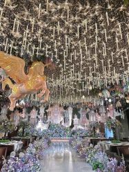 -花嫁丽舍婚礼殿堂(世博江景店)