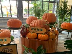 -北戴河集发农业梦想王国