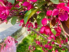 -元大都城垣遗址公园