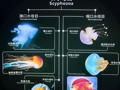 -青岛海底世界-水族馆
