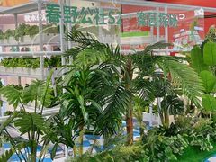 -龙湖西安曲江天街