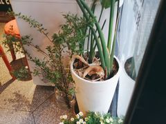 -Dal Cuore 达可芮冰淇淋(陕西北路店)