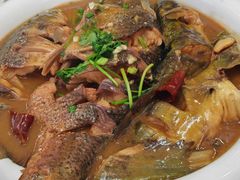 家焖杂鱼-老码头黑皮肘子锅包肉熏酱水饺(文政街店)