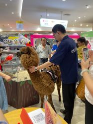 -孩子王(建邺金鹰世界店)