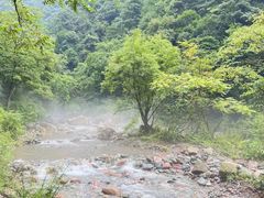 -西岭雪山大飞水景区