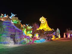 -淄博花灯齐彩城