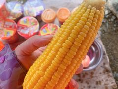 -宝天曼峡谷漂流