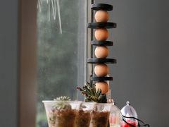 -Dinoo 片场咖啡(酒仙桥店)