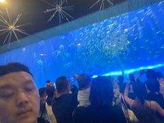 -华夏文旅西安度假区