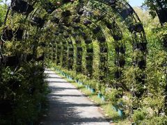 -福建鲤鱼洲酒店