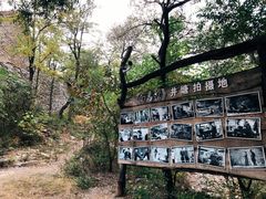 -井塘古村
