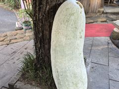 -小小饭店·休闲农庄·安吉松树林里的农家菜