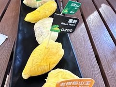 -榴莲BB 四季果园