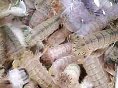 -阔澜蒸汽海鲜自助