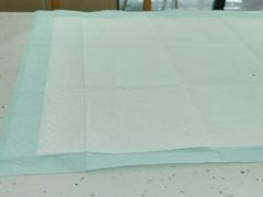 -贝利宠物医院·骨科·眼科·肿瘤转诊中心(南坪诊疗中心)