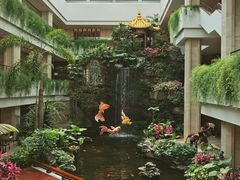 -广州白天鹅宾馆