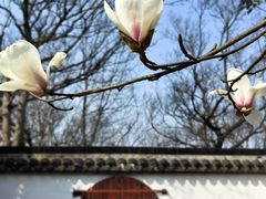 -上海佘山国家森林公园天马山园