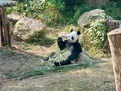 -宁波野生动物园