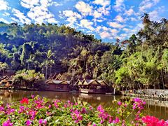 -西双版纳原始森林公园