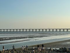 -宝安西湾红树林湿地公园