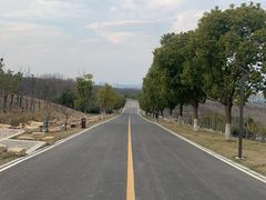 -南京市江宁方山