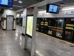 -杨高南路(地铁站)