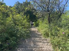 -北京西山国家森林公园