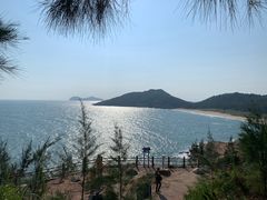 -广东惠东海龟国家级自然保护区