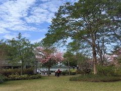 -风云岭森林公园