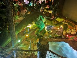 -恐龙探索乐园(磁器口店)