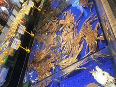 -船歌·鱼水饺青岛菜(闽江二路店)