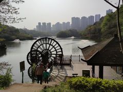 -重庆彩云湖湿地公园