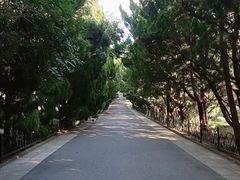 -八大关景区
