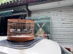 -北京国子监胡同
