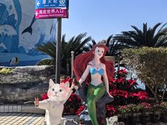 -左海海底世界