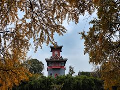 -四川大学(华西校区)