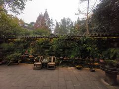 -青城甲(青城山店)