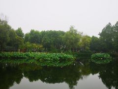 -金银湖国家城市湿地公园