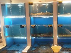 -赶海部落海鲜城(海阳路店)