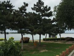 -丁香湖公园