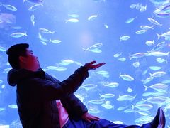 -太平洋海底世界