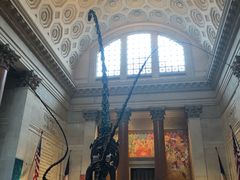 -美国自然历史博物馆